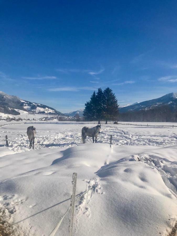 Traumhafte Wohnung Auf Pferde Ranch Aich  Eksteriør bilde
