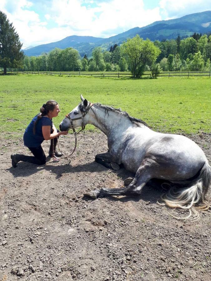 Traumhafte Wohnung Auf Pferde Ranch Aich  Eksteriør bilde